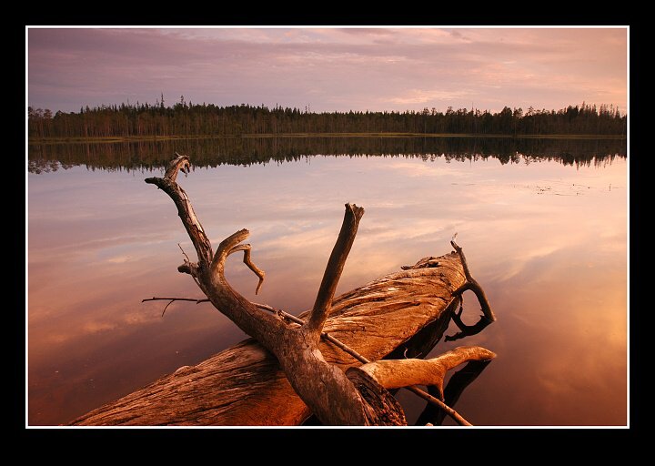 img00082.jpg
