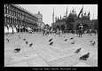  Piazza San Marco, Benátky 