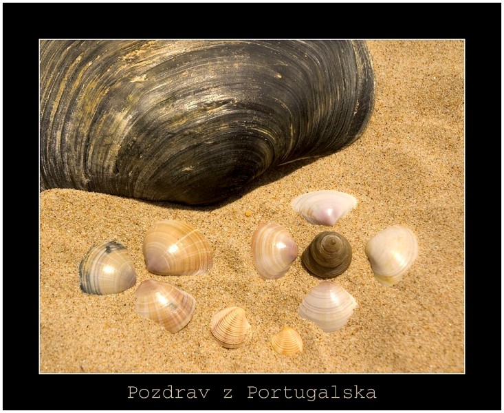 Portugalsko 2008