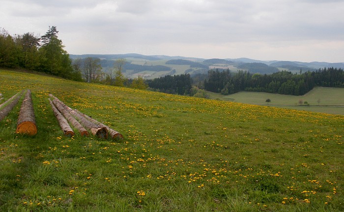 Železný student 2007