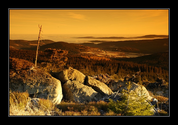 Kejlovna 2005