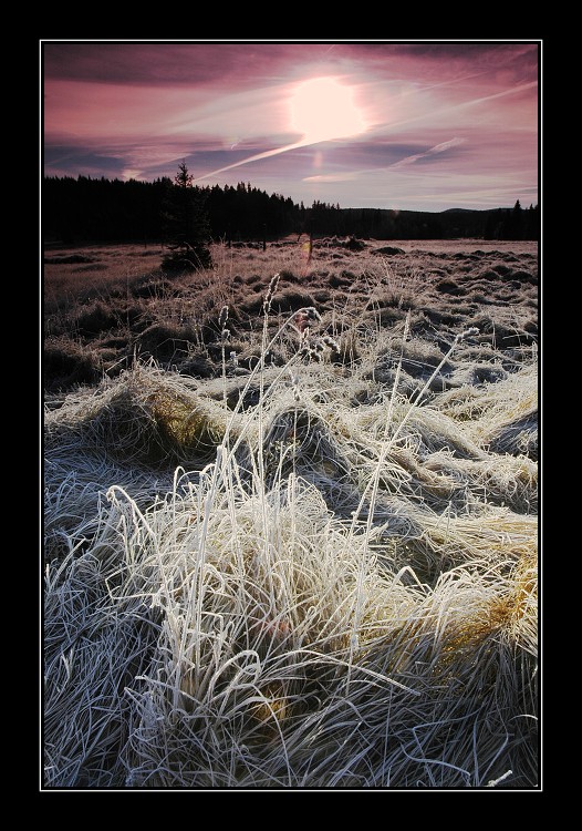 Kejlovna 2005