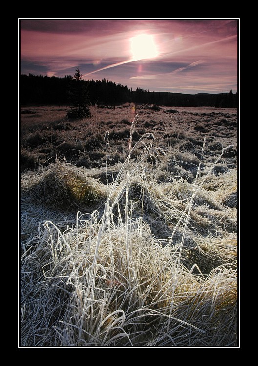 Kejlovna 2005