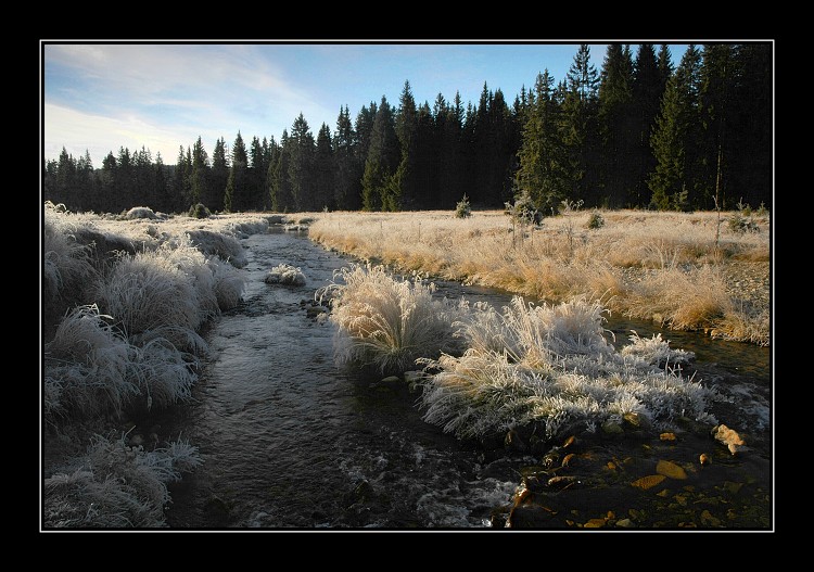 Kejlovna 2005