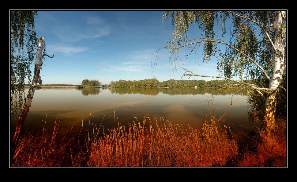 Panoráma