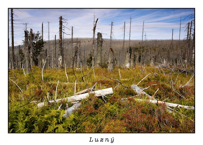 Šumava 2006