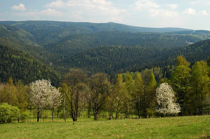 Šumava 2007