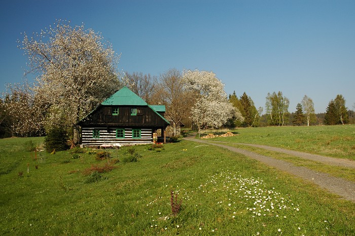 Šumava 2007