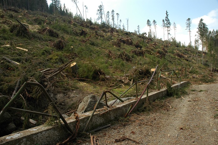 Šumava 2007