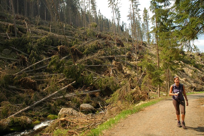 Šumava 2007