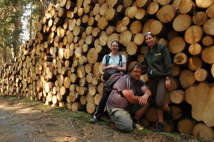 Šumava 2007