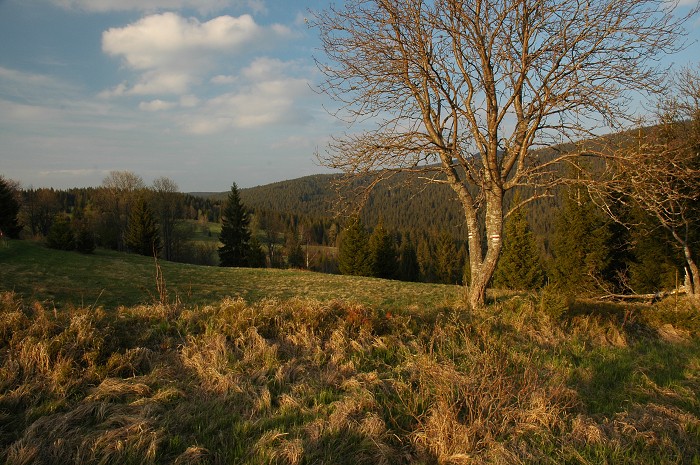 Šumava 2007