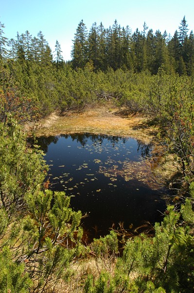 Šumava 2007