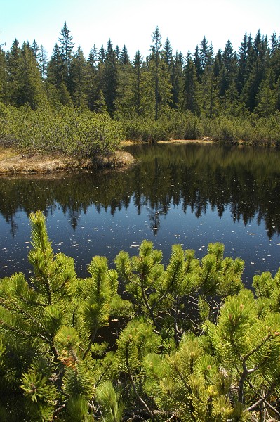 Šumava 2007