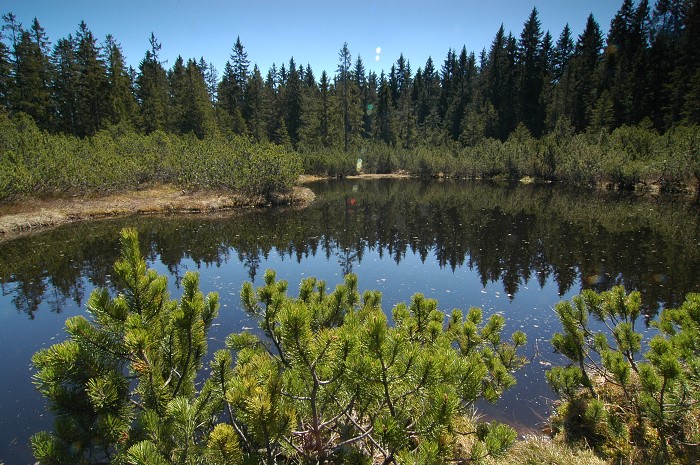 Šumava 2007