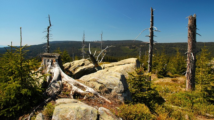 Šumava 2007