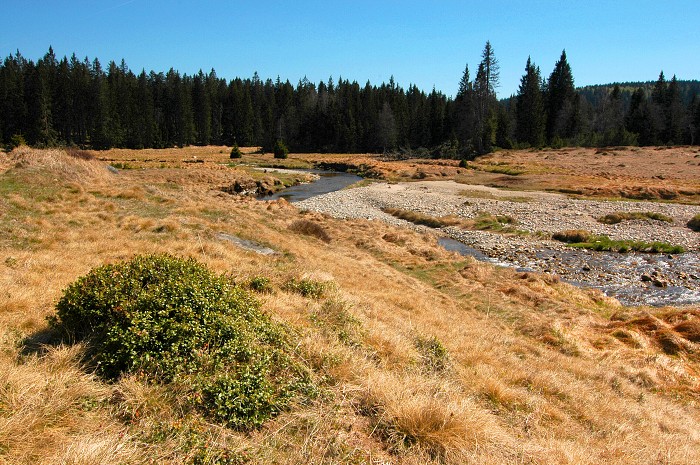 Šumava 2007