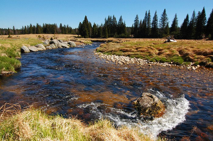 Šumava 2007