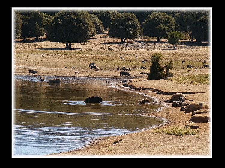 Korsika a Sardinie