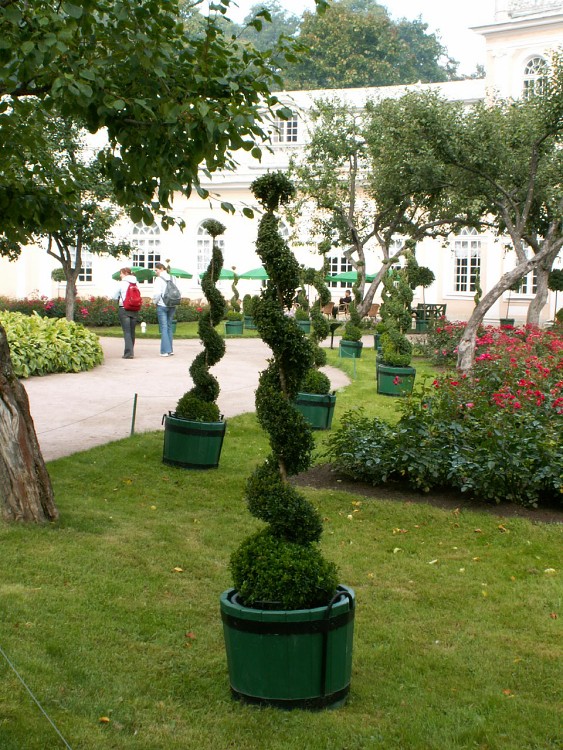 Petrohrad