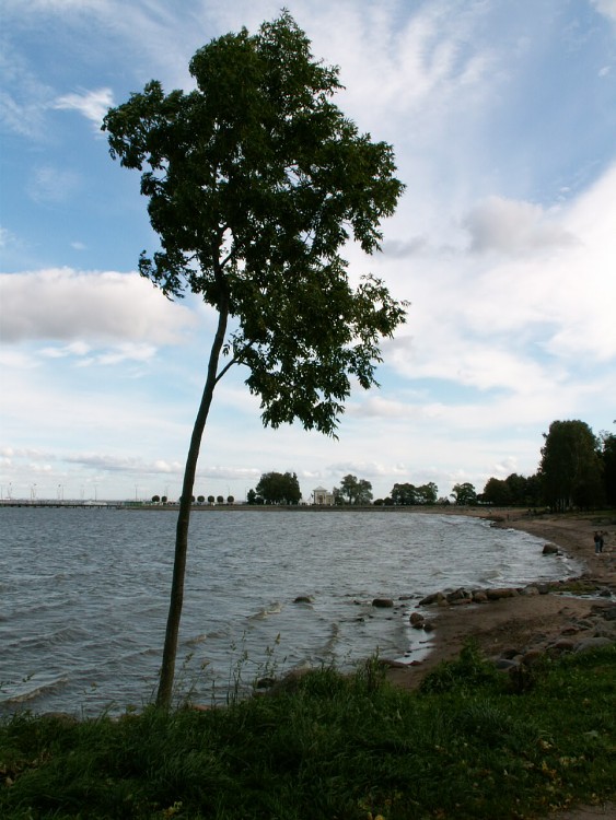 Petrohrad