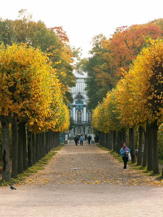 Petrohrad